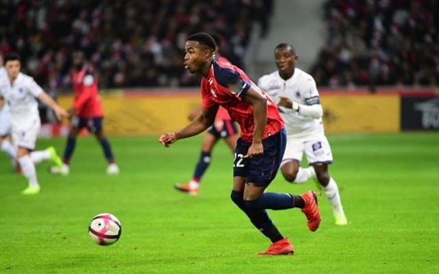 速反应和多 速反应和多